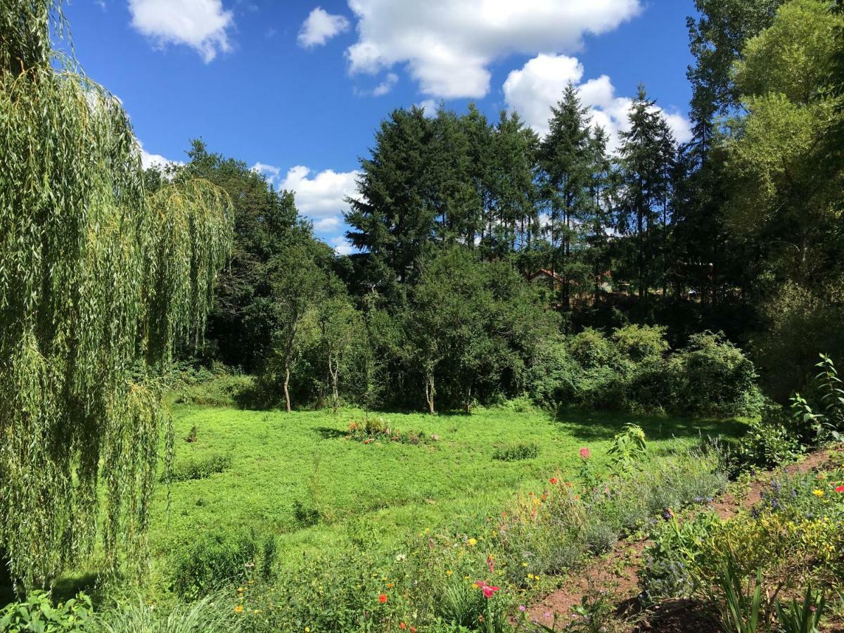 Haagalm Terrasse, Garten Nonnweiler Экстерьер фото
